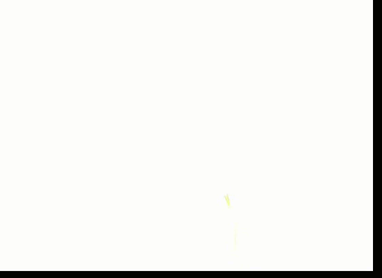 firework_wtbkd