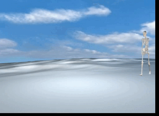 footprints